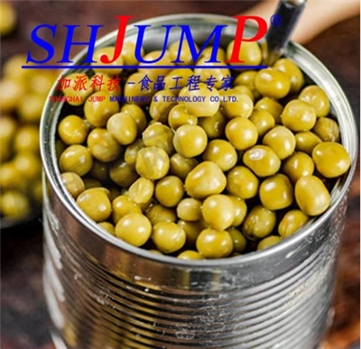 Linia produkcyjna fasoli puszek